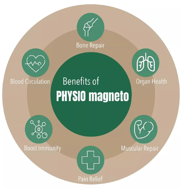 New Design Magneto Transduction Therapy Machine magneto-transduction physiotherapy equipment treatment effective and powerful Pain Relief PMST Physio Magneto Super Transduction Physiotherapy Equipment | Honkay Physio Magneto Super Transduction,Physio Magneto therapy machine,physiotherapy equipment