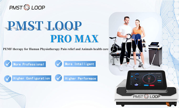 PEMF Magnetic Therapy Device 6000 Gauss High Penetrating Power PMST LOOP pro For Arthritis Sports Injuries Body Rehabilitation New 6000 Gauss PEMF Magnetic Therapy Device - Honkay pemf therapy device,pemf magnetic therapy device,pmst loop pro