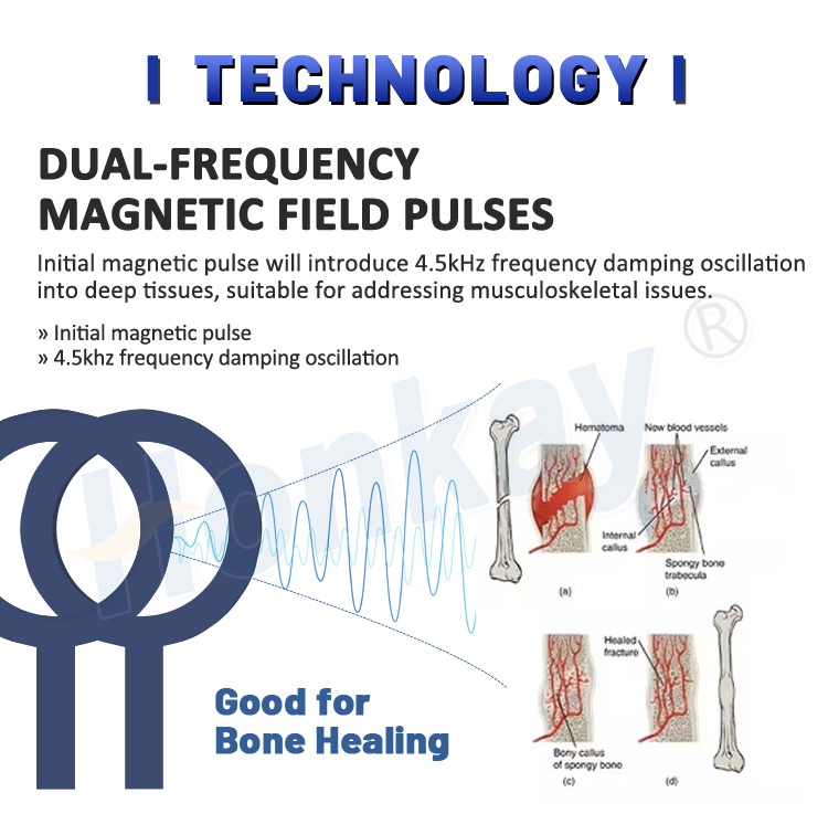 Pemf Pro Wave Magnetic Arthritis Joint Pemf Mat Physio Magneto Magnetic Therapy Machine Use for Pain Treatment Pemf for Human Pemf Device For Human : A Non-Invasive Solution For Pain And Recovery pemf devices for home use,best pemf devices for home use,pemf device for sale,home pemf devices