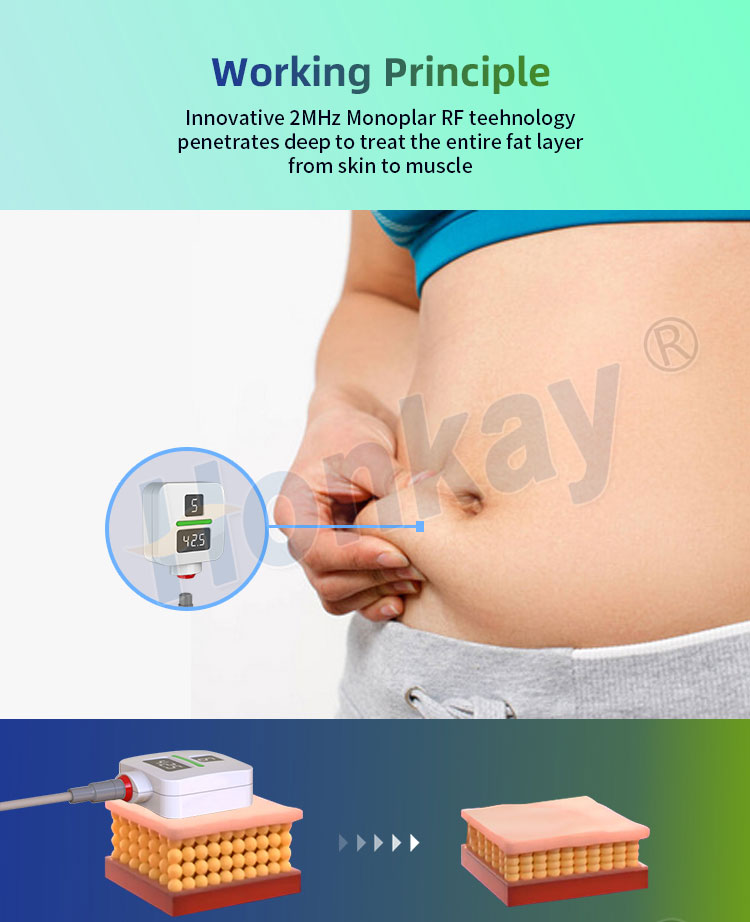 New Arrival Vertical Body Contouring RF Slimming Trushape Id Machine for Sale Vertical Trushape Machine for Sale | Honkay trushape machine,trushape machine for sale,trushape 3d machine cost