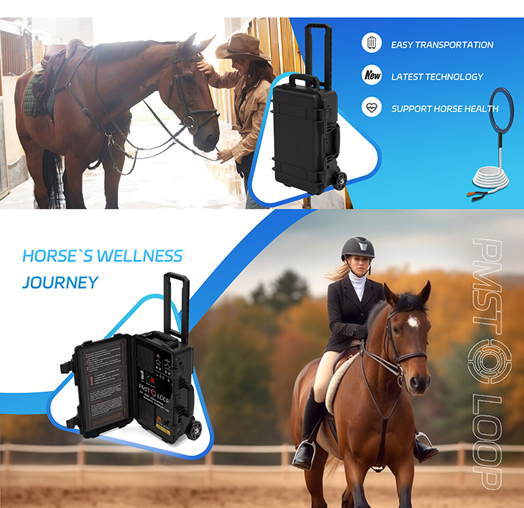 High Power 6000GS Pemf Magnetic Therapy Portable Device Human Pmst Loop Pemf Loop for Pain Relief Physio Magneto Machine Black Suitcase 6000Gs Pemf Therapy Machine for Horse Portable Pemf Device,Pemf Therapy Machine,Pemf Magnetic Therapy Device Machine Horses