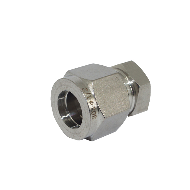 stainless steel SS 304 316 double ferrules pipe plug