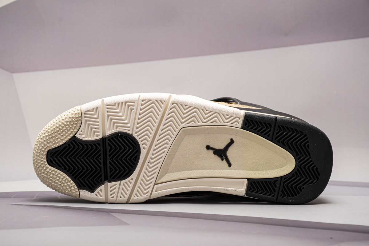 aj 4 fossil