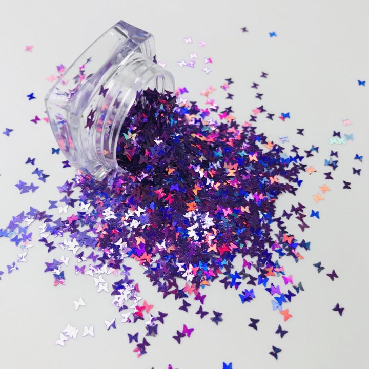 LB802  2.5 mm butterfly  shape holographic glitter 