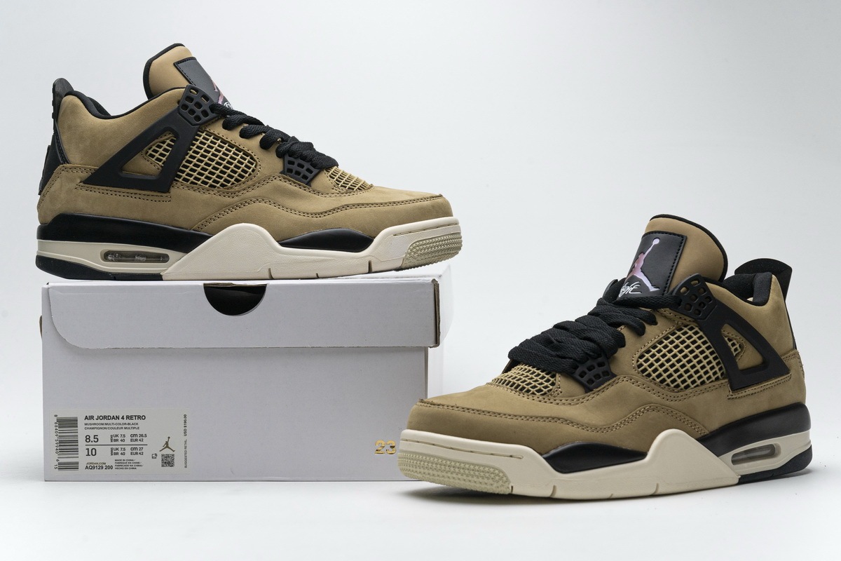 aj 4 fossil