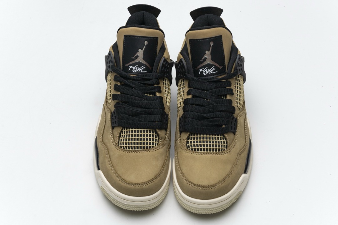 aj 4 fossil