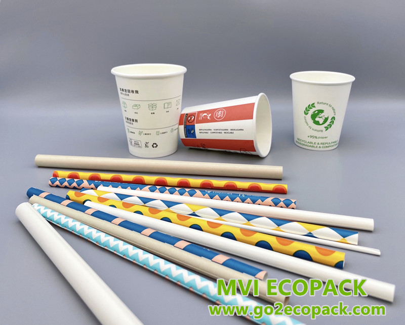 What Kind of Recyclable Paper Straw Can MVI ECOPACK Provide?