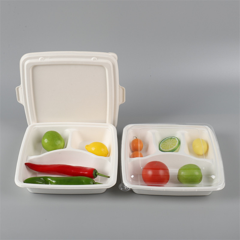 What is the differences between PFAS free and Normal Bagasse Food Packaging Products?