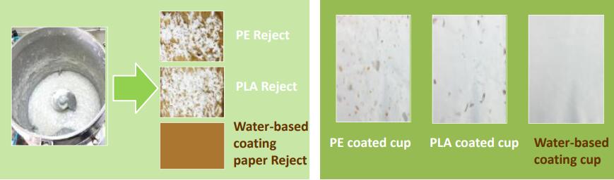 Difference Between PE, PLA and Water-Based Coating Cups paper cup, coffee cup, tea cup, drinking cup