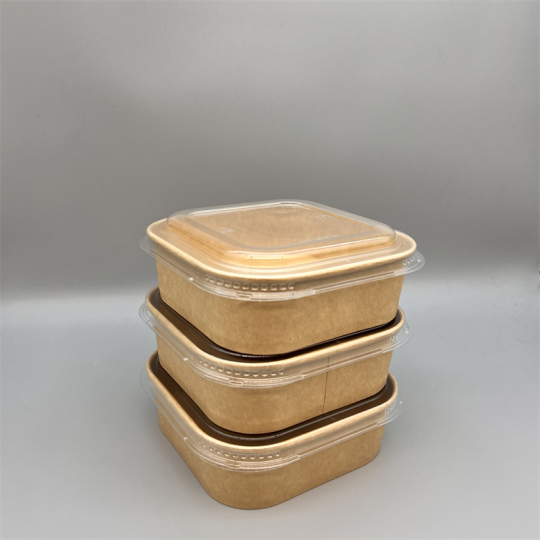 https://usaimages.oss-us-west-1.aliyuncs.com/12314/product/20220222/copy_of_1000ml_Disposable_Kraft_Paper_Rectangle_Lunch_Box_with_Lids_1645517640345_0.jpg_w540.jpg