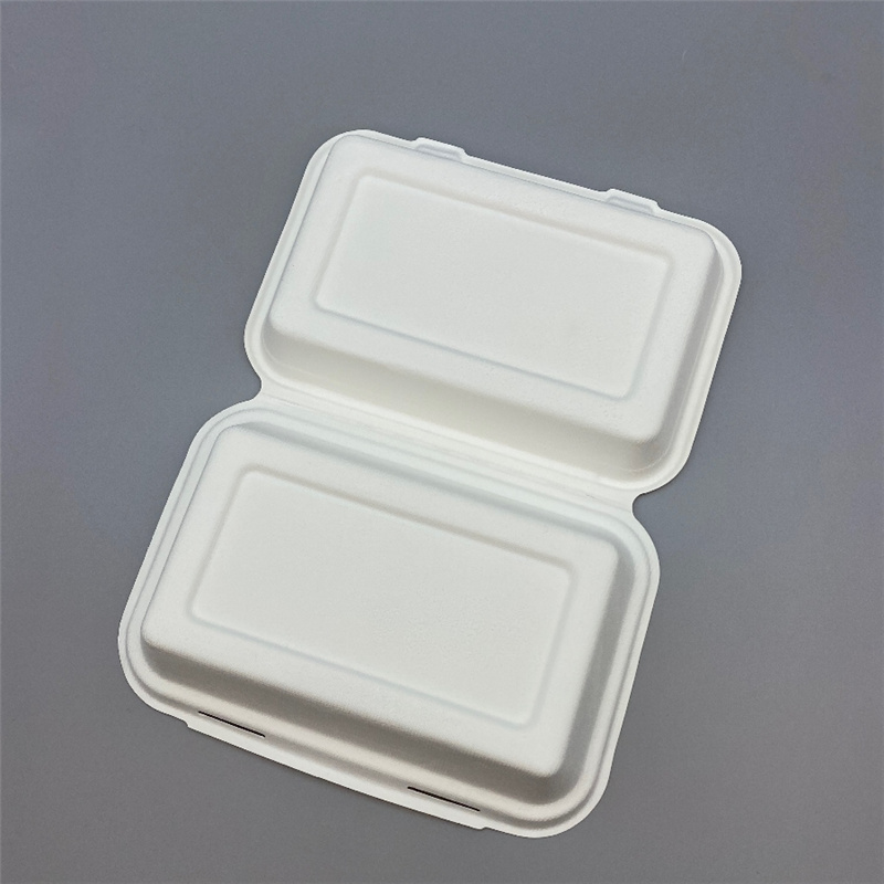 Eco Friendly 9" x 6" Biodegradable & Compostable Bagasse Large Food Box 