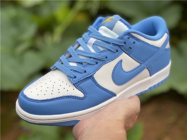 blue and white dunk lows