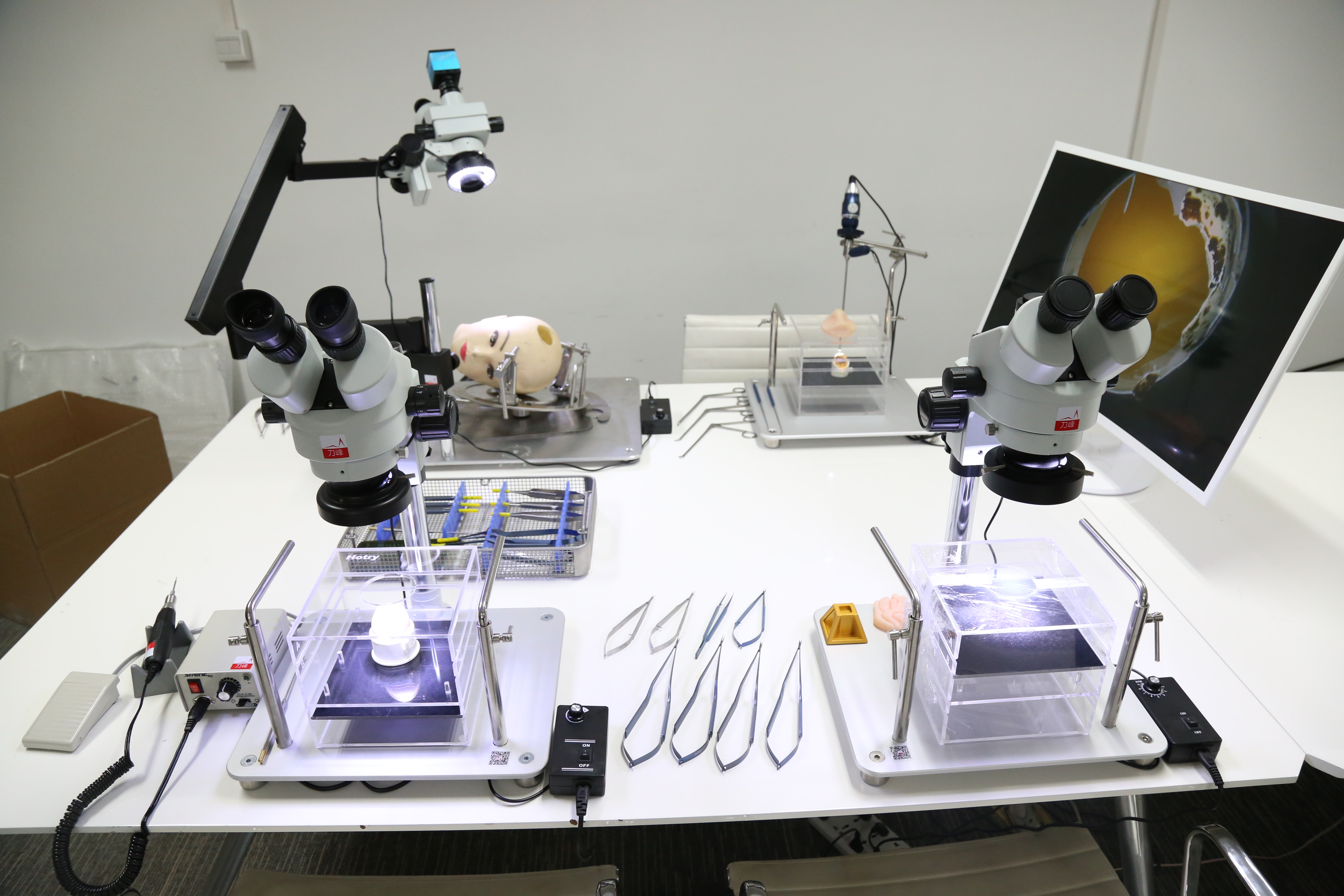 Microscope + Dissection Laboratory Set