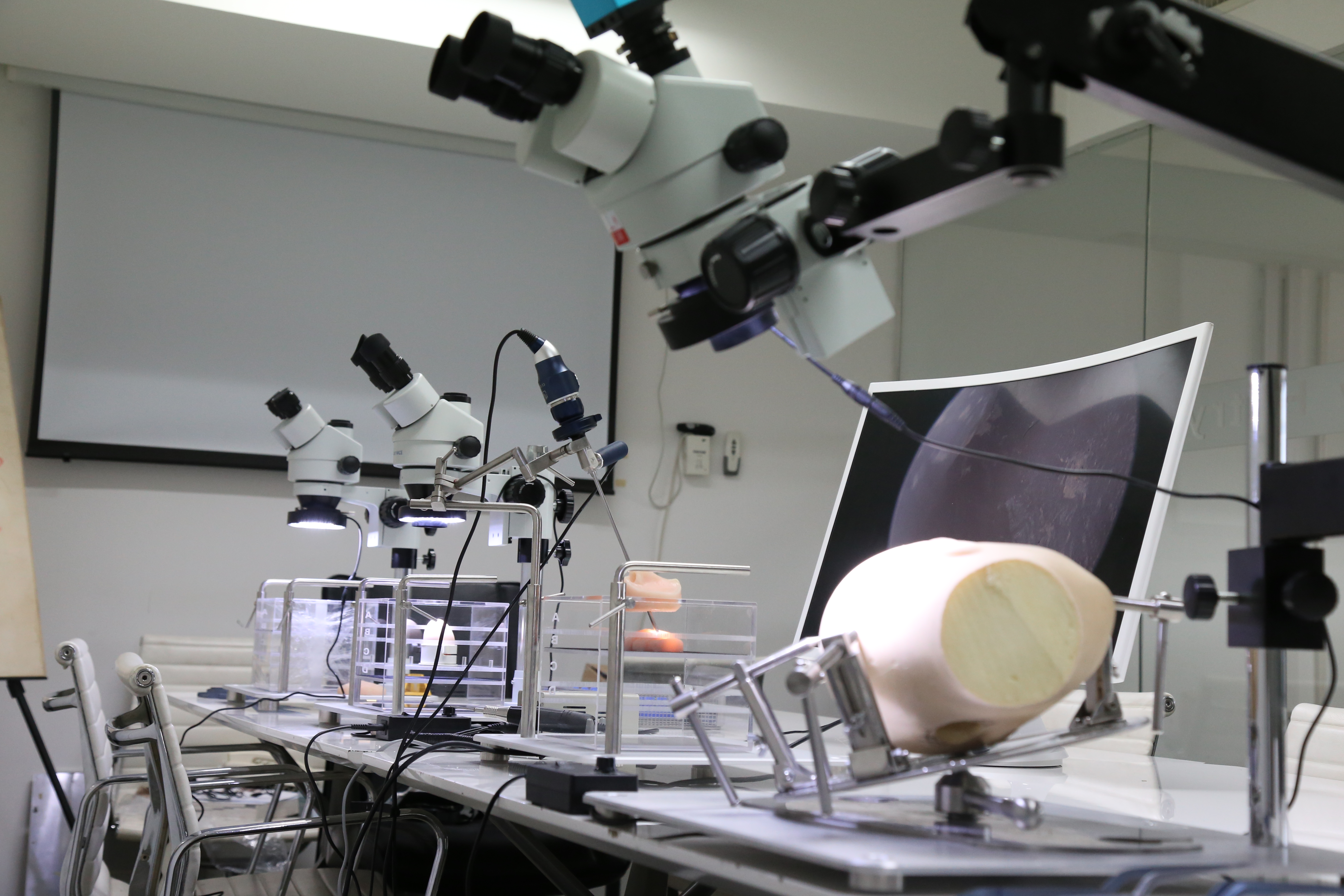 Microscope + Dissection Laboratory Set