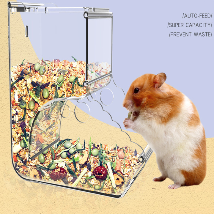 Hamster feeder automatic store