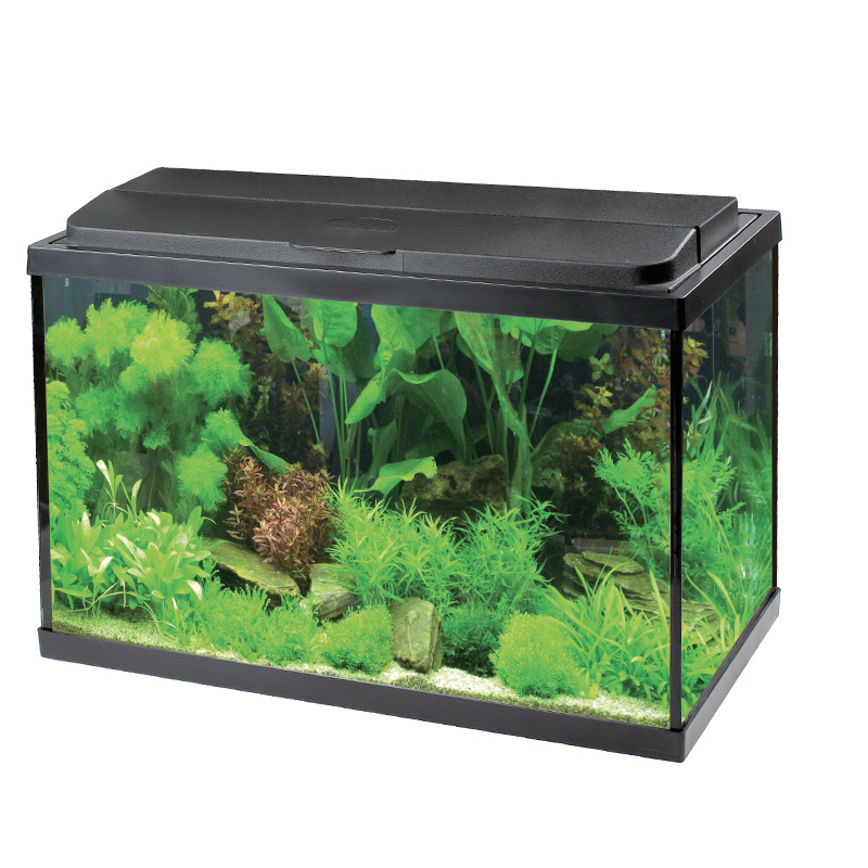 Seamless Curved Corner Aquarium Glass Fish Tank Overhead Filter