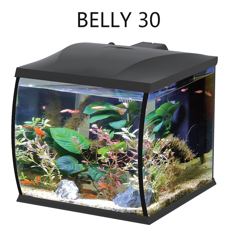 Belly Glass Fish Tank Aquarium Fish Tank with LED Lighting and