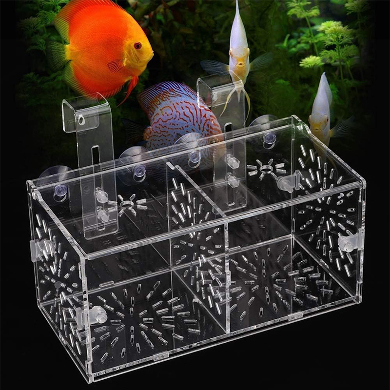 Acrylic Mini Aquarium Double Betta Fish Bowl Aquariums Incubator