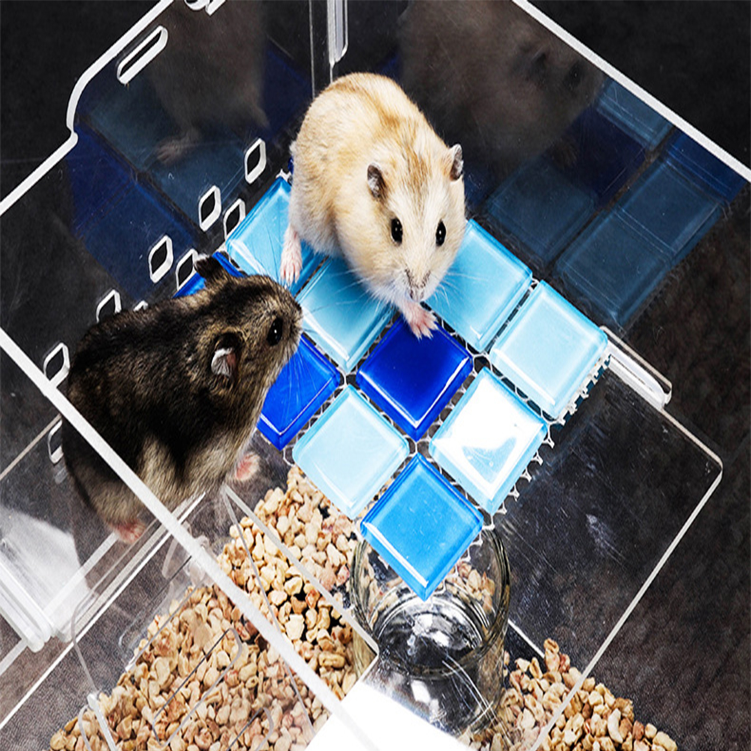 Transparent hamster sales