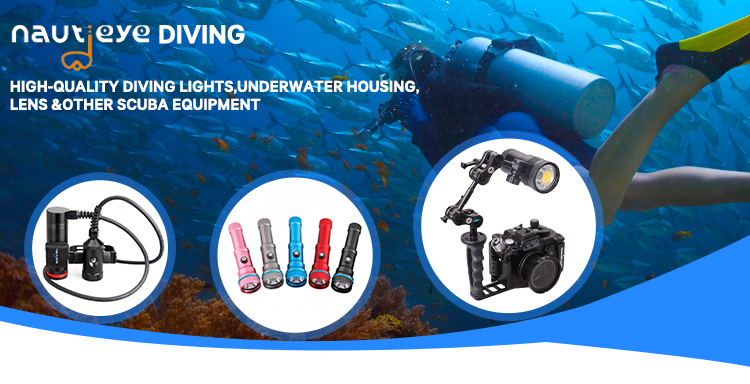 Nautieye NE25 8000LM COB scuba Video Light led dive flashlight With Strobe Mode & Rotate Function  ,dive flashlight,dive video light,underwater photo light,scuba light,diving light