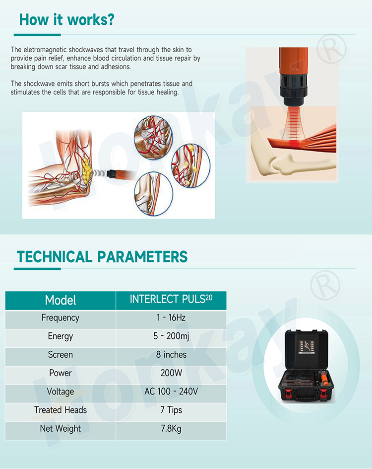 Professional Extracorporeal Shock wave Machine Pain Relief Electromagnetic Shockwave therapy machine For Ed Physiotherapy Suitcase Design Shockwave Therpay Machine for Pain Relief shockwave machine,shockwave therapy device,shock wave device