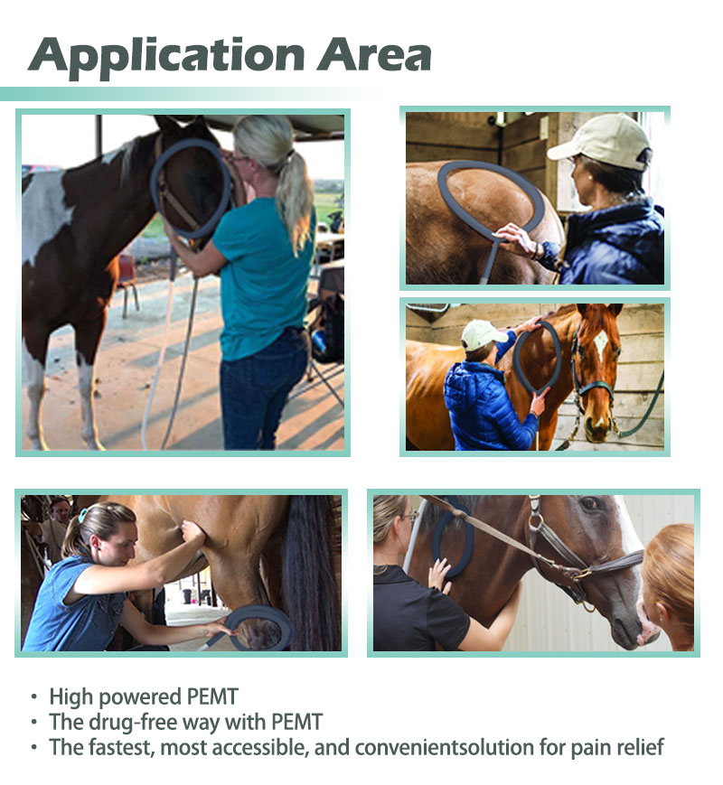 Physio Magnetic PEMF Therapy Pemf Magnetic Therapy Device for Athletic Horses Stay Competitive Recover Faster Dual Control Pemf Device For Horse: Faster Recovery & Relief pemf therapy horses cost,pemf machine for horses,horse pemf machine,PEMF device for Horse