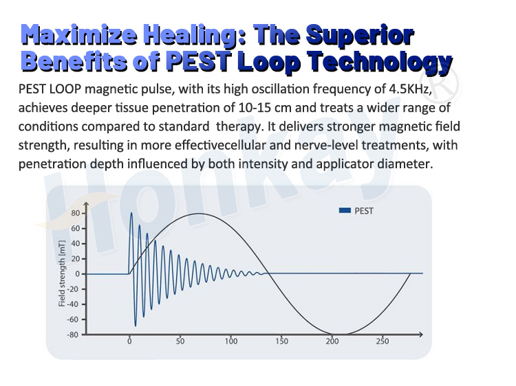 Physio Magnetic PEMF Therapy Pemf Magnetic Therapy Device for Athletic Horses Stay Competitive Recover Faster Dual Control Pemf Device For Horse: Faster Recovery & Relief pemf therapy horses cost,pemf machine for horses,horse pemf machine,PEMF device for Horse