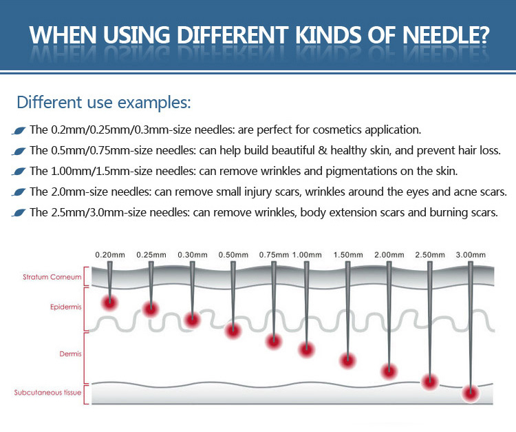 Wholesale Derma Roller Skin Care Micro Needle Hair Beard Regrowth Wholesale Derma Roller Skin Care Micro Needle Hair Beard Regrowth derma roller,derma roller scalp hair growth,derma roller 0.5mm,derma roller 1.5mm,derma roller 1mm,derma roller for beard growth,derma roller for hair growth,derma roller for face