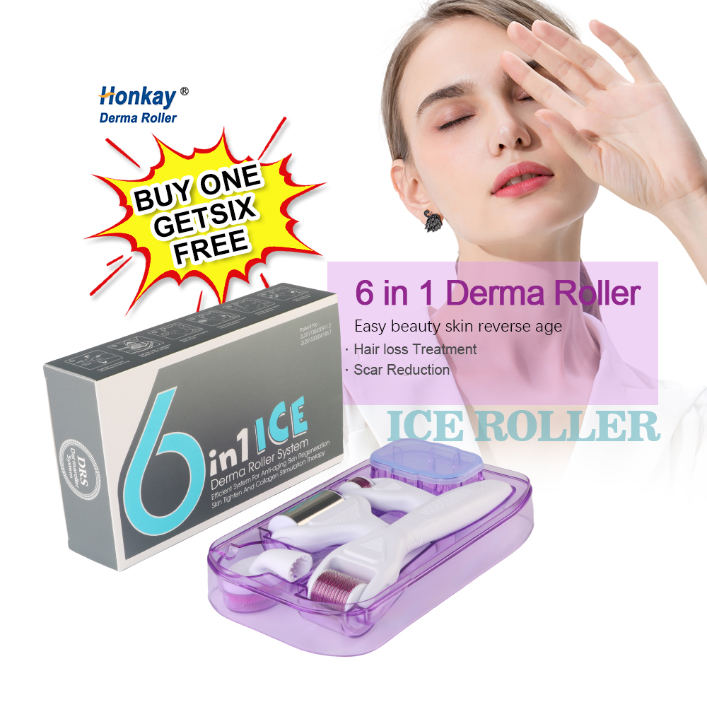 Microneedling Roller 6 in 1 Derma Roller Kit 12/300/720/1200 Needles for Distributor Purchase Microneedling Roller 6 in 1 Derma Roller Kit 12/300/720/1200 Needles derma roller,derma roller kit,6in1 derma roller