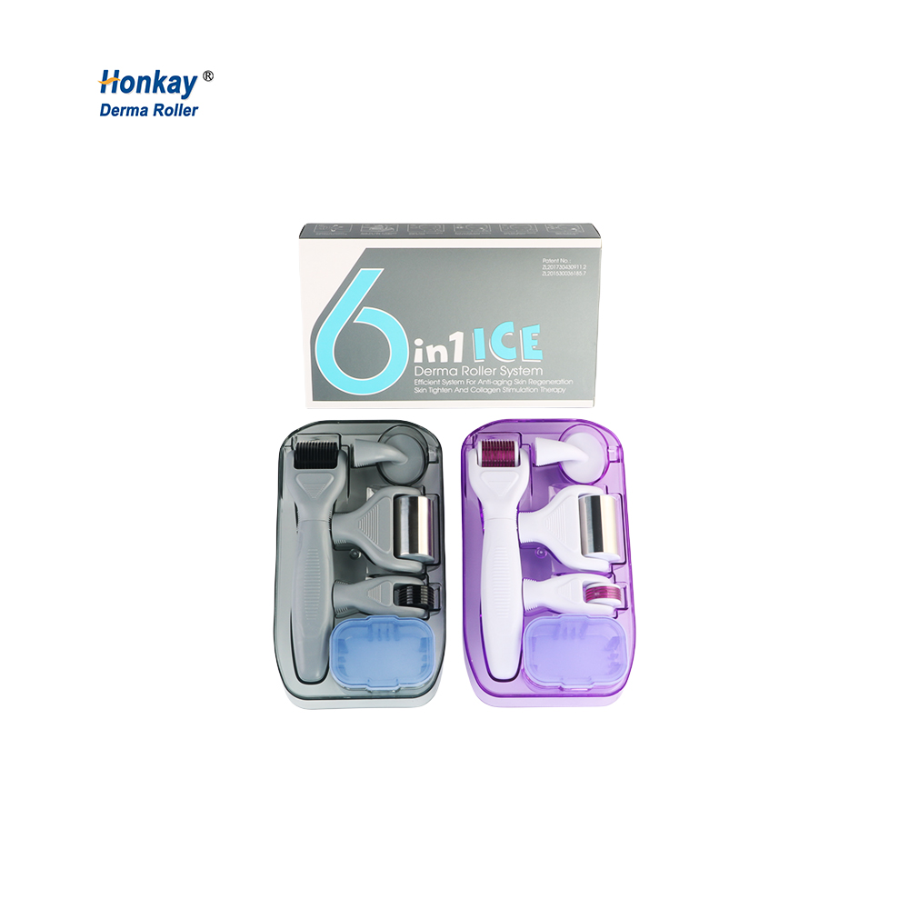 Microneedling Roller 6 in 1 Derma Roller Kit 12/300/720/1200 Needles for Distributor Purchase Microneedling Roller 6 in 1 Derma Roller Kit 12/300/720/1200 Needles derma roller,derma roller kit,6in1 derma roller