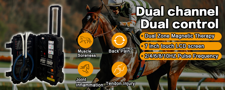 Pemf Magnetic Therapy Device Mat Physio Magneto Therapy Machine Pemf Loop Devices Pain Relief Arthritis Sciatica Neuralgia Portable Pemf Machine For Sale For Home & Clinic Use pemf machine for sale,pemf therapy machine,pemf machine for home use