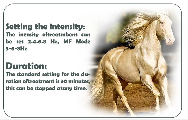 Portable PEMT Loop Magnetic Feild For Back Pain Relief Muscle Relax Physio Magneto Machine 6000GS PEMF Physiotherapy Body Rehabilitation Equipment Portable PEMT Loop Magnetic Feild Therapy Device - Honkay pemf therapy device,magnetic feild device,magneto therpay machine