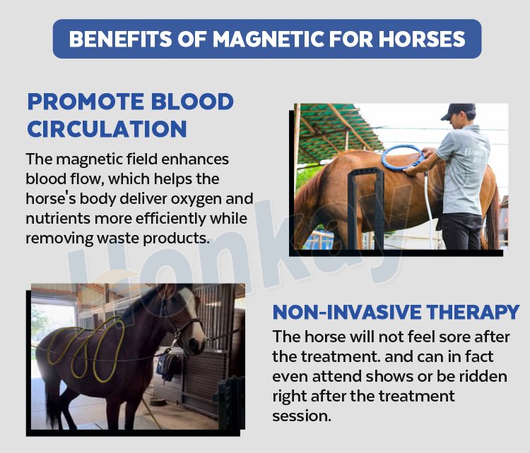 Dual Control 7 Color Touch Screen Pemf Magnetic Therapy Device Physio Magneto Therapy Machine For Horse Pain Relief Dual Contorl Pemf Machine for Horses pemf horse therapy machine,pemf equine machine,pemf machine for horses