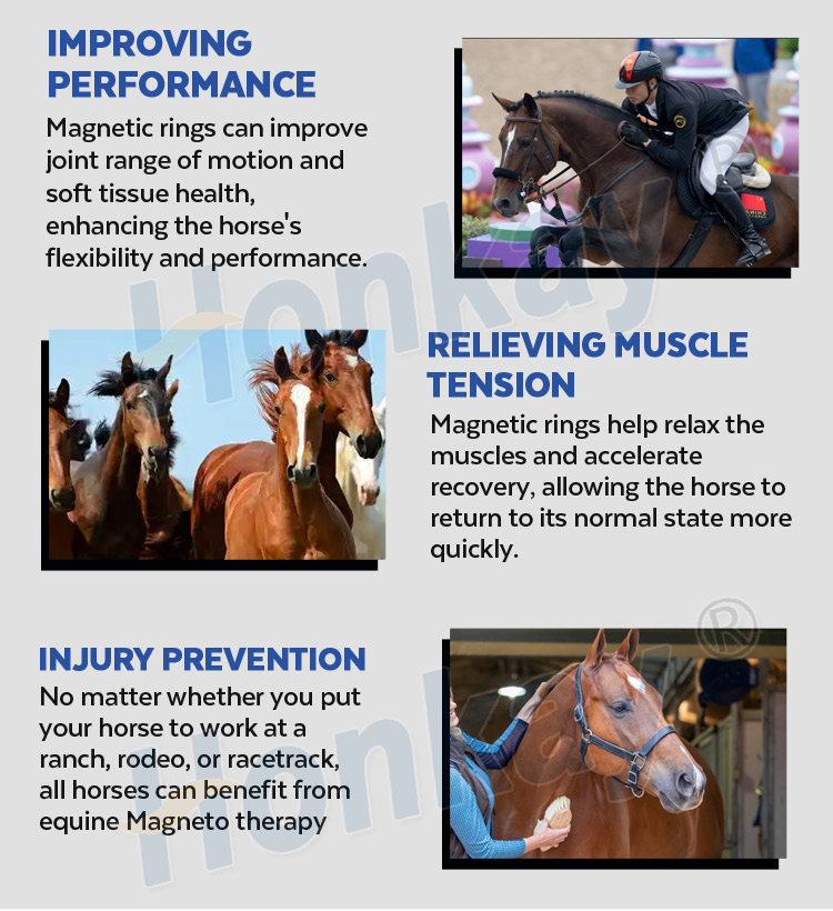 Dual Control 7 Color Touch Screen Pemf Magnetic Therapy Device Physio Magneto Therapy Machine For Horse Pain Relief Dual Contorl Pemf Machine for Horses pemf horse therapy machine,pemf equine machine,pemf machine for horses