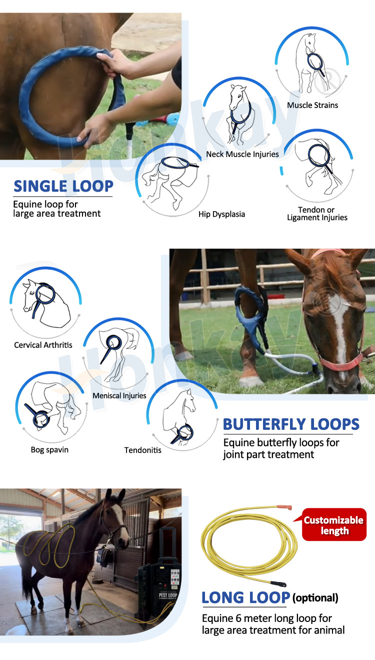 Dual Control 7 Color Touch Screen Pemf Magnetic Therapy Device Physio Magneto Therapy Machine For Horse Pain Relief Dual Contorl Pemf Machine for Horses pemf horse therapy machine,pemf equine machine,pemf machine for horses