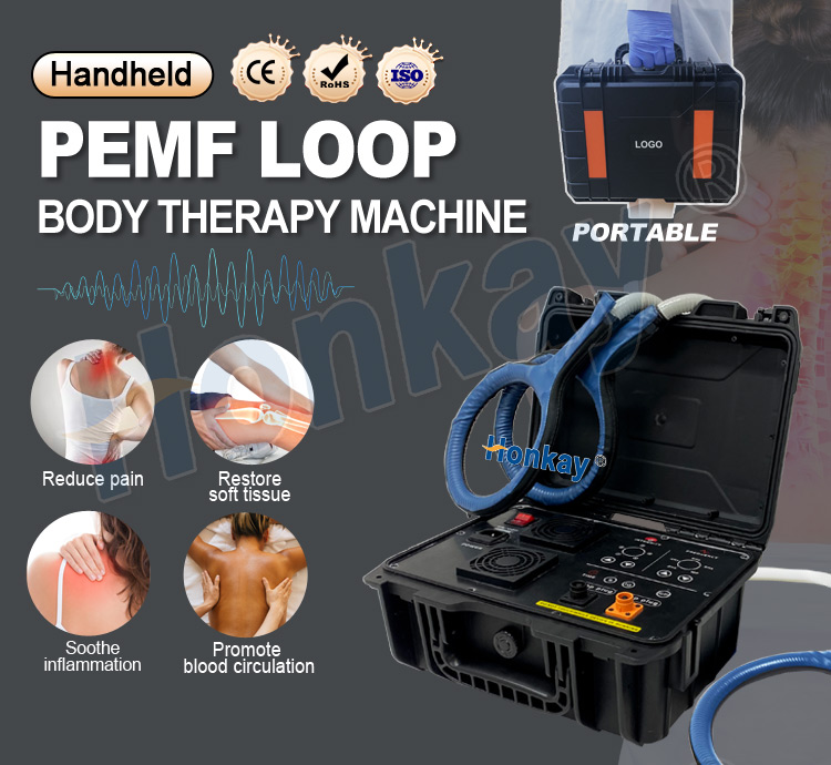 2026 New Protable Pemf Therapy Machine For Sale For Pain And Recovery For Home Use Protable Pemf Therapy Machine For Sale For Pain And Recovery pemf therapy machine for sale,equine pemf machine for sale,professional pemf machine