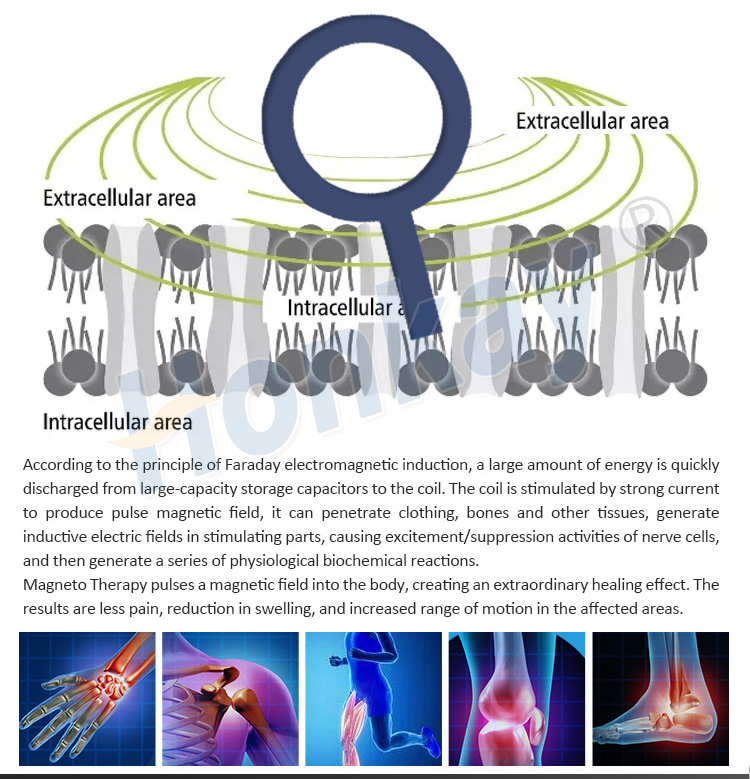 2026 New Protable Pemf Therapy Machine For Sale For Pain And Recovery For Home Use Protable Pemf Therapy Machine For Sale For Pain And Recovery pemf therapy machine for sale,equine pemf machine for sale,professional pemf machine