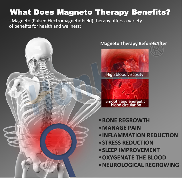 2026 New Protable Pemf Therapy Machine For Sale For Pain And Recovery For Home Use Protable Pemf Therapy Machine For Sale For Pain And Recovery pemf therapy machine for sale,equine pemf machine for sale,professional pemf machine