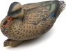 Mallard