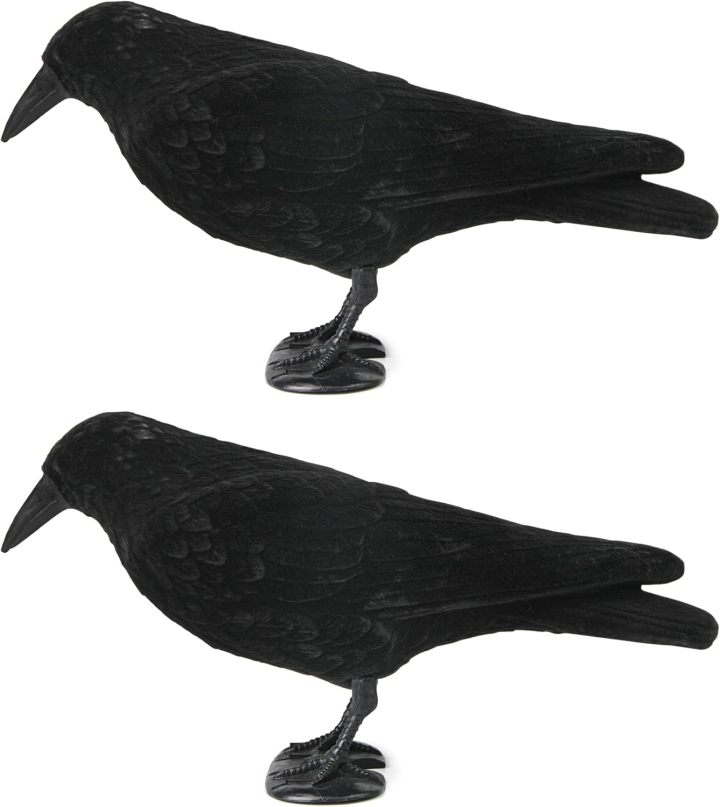 Crow Decoy for Attracting Crows, Plastic Fake Crows Birds Decoy for Garden Yard Backyard Decoration
