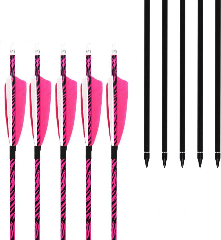 Carbon Arrows, Hunting Arrows with Removable Tips,Targeting Practice Arrows for Compound & Recurve Bow