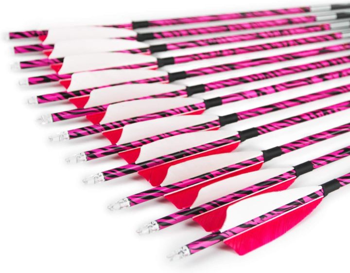 Carbon Arrows, Hunting Arrows with Removable Tips,Targeting Practice Arrows for Compound & Recurve Bow