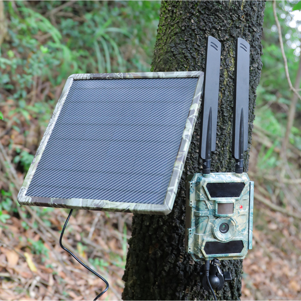 BL25A Solar Panel Built In Battery For Tail Hunting Game Camera 10W 20W 6v 9v 12v Waterproof