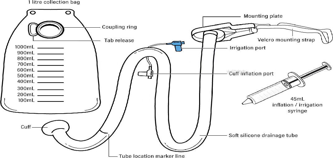 Fecal Collection Devices Supplier | Bulk Order/Wholesale