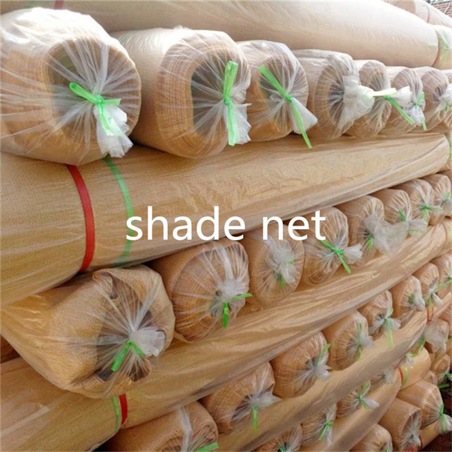 Agriculture netting