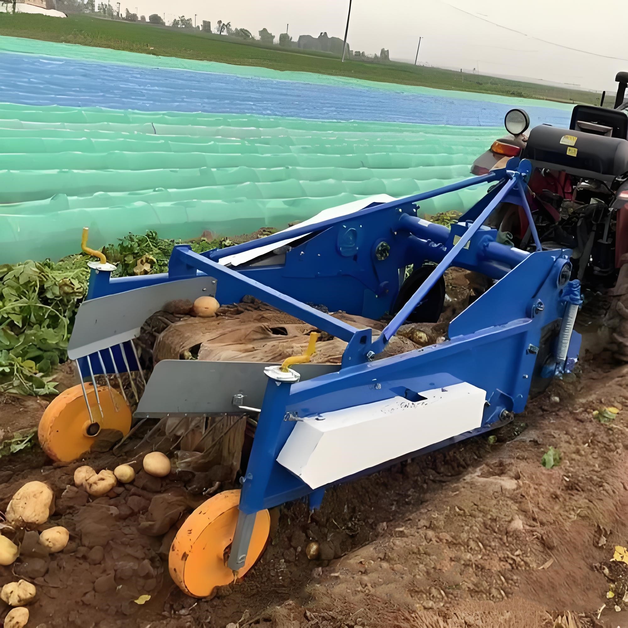 Potato Harvester