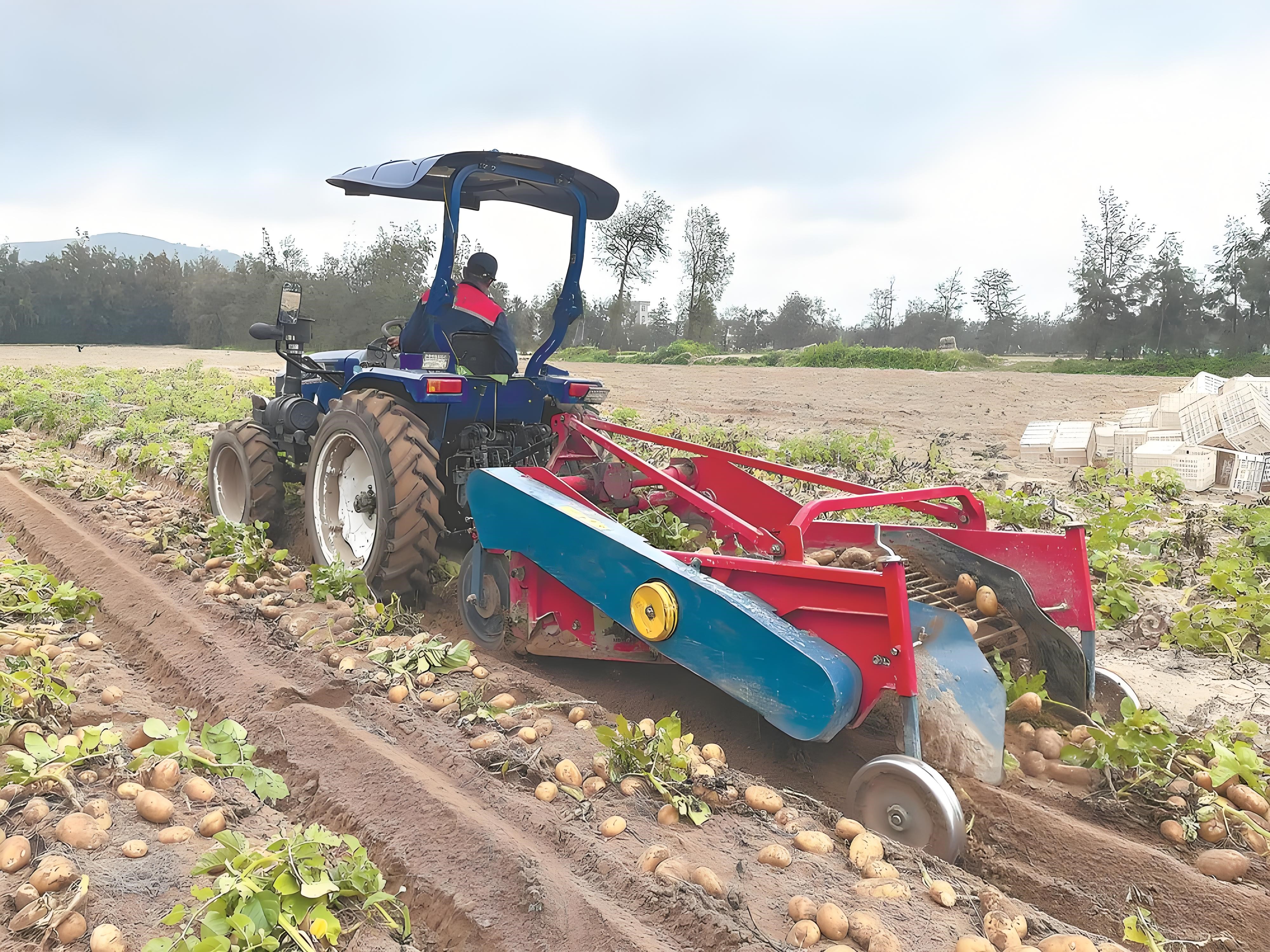 Potato Harvester