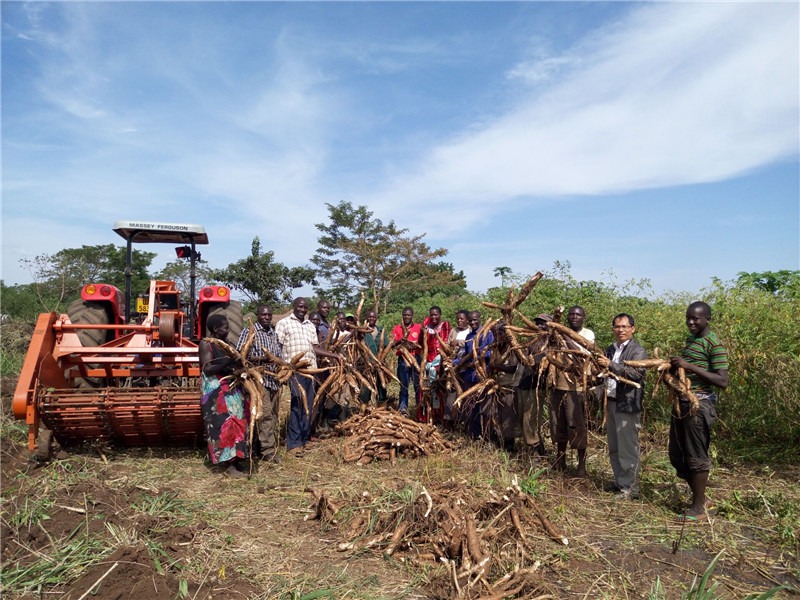 cassava harvester has won high praise from foreign customers