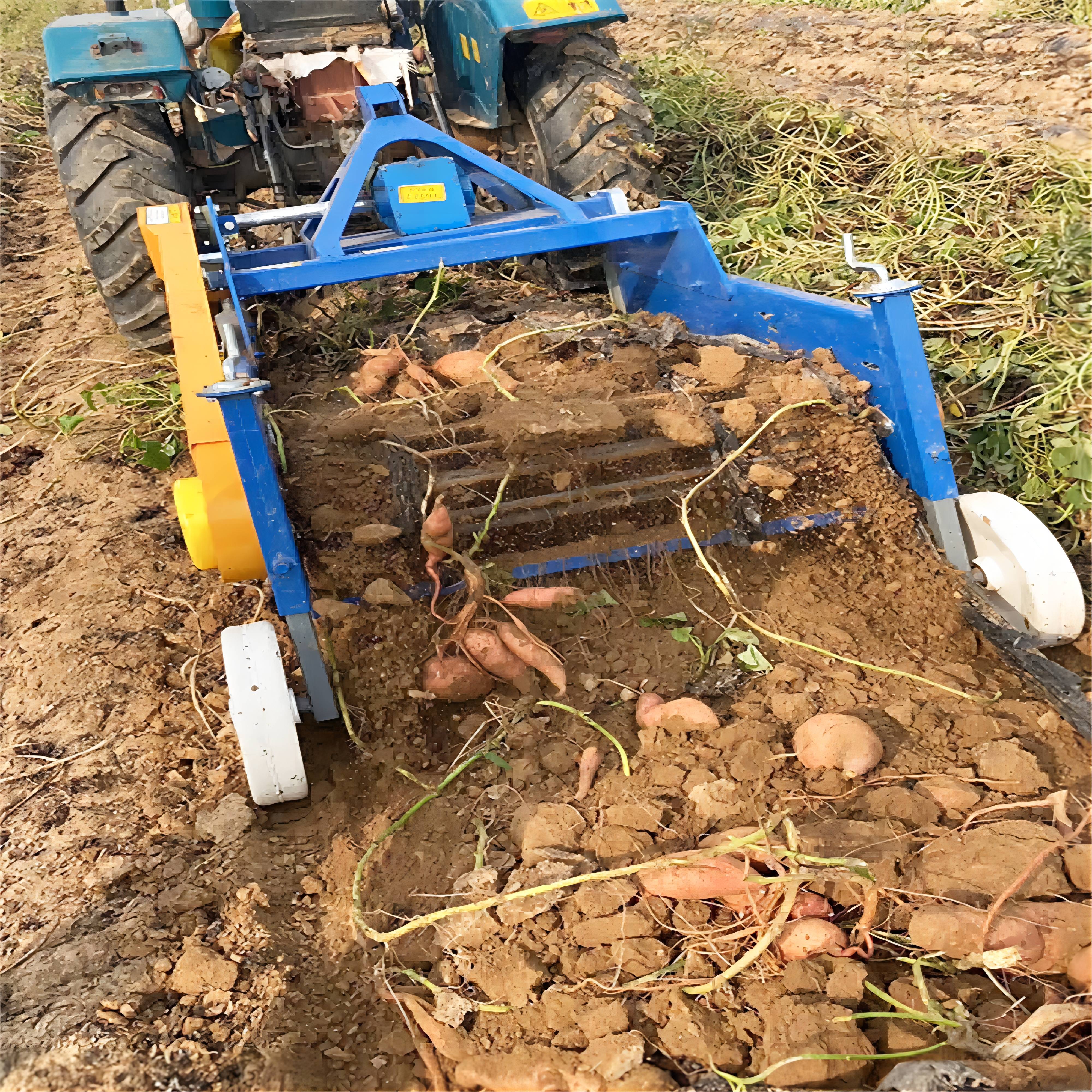 Agricultural Sweet Potato Harvester with  high harvesting rate and  low skin breakage rate