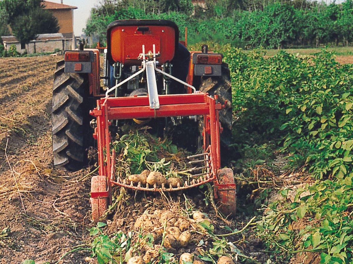Potato digger